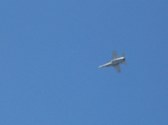 Enlarge photo 94
