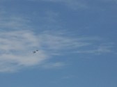 Enlarge photo 95