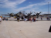 Enlarge photo 107