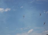 Enlarge photo 135