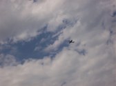 Enlarge photo 140