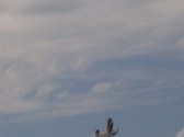 Enlarge photo 152