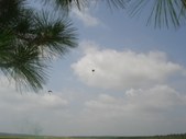 Enlarge photo 39