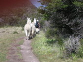 Enlarge photo 37