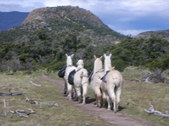 Enlarge photo 38