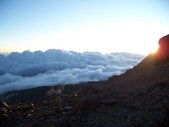 Enlarge photo 59