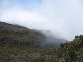 Enlarge photo 85