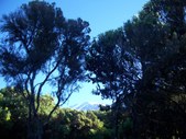 Enlarge photo 89