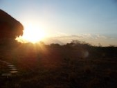 Enlarge photo 97