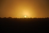 Enlarge photo 46