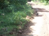 Enlarge photo 19