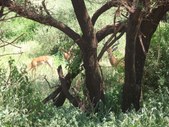Enlarge photo 20