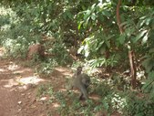 Enlarge photo 34