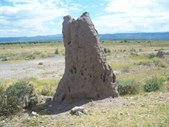 Enlarge photo 37