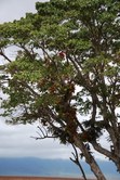 Enlarge photo 40