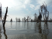 Enlarge photo 1