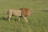 Enlarge photo 38