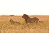 Enlarge photo 39