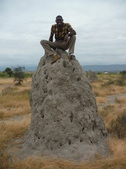 Enlarge photo 16