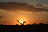 Serengeti National Park