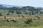 Enlarge photo 25