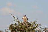 Enlarge photo 28
