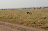 Enlarge photo 33