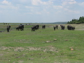 Enlarge photo 25
