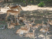 Enlarge photo 26