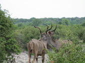 Enlarge photo 29