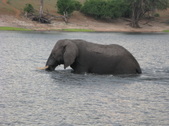 Enlarge photo 34