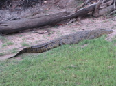 Enlarge photo 35