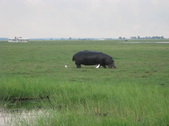 Enlarge photo 36