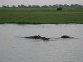 Enlarge photo 37