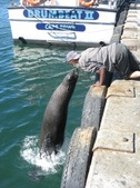 Enlarge photo 35