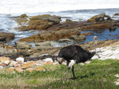 Enlarge photo 39