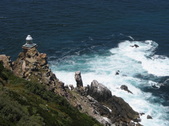 Enlarge photo 44