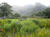 Enlarge photo 52