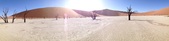 Enlarge photo 34