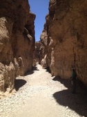 Enlarge photo 41