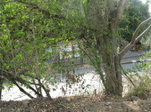 Enlarge photo 63