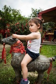 Enlarge photo 27