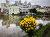 Enlarge photo 57