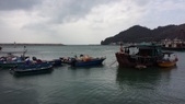 Enlarge photo 59
