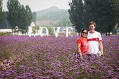 Enlarge photo 37