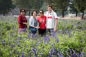 Enlarge photo 38