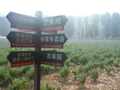 Enlarge photo 39