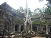 Enlarge photo 38
