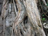 Enlarge photo 39