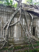 Enlarge photo 65